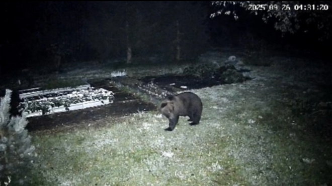 Фото: ВК-сообщество "Администрация Пашского сельского поселения"