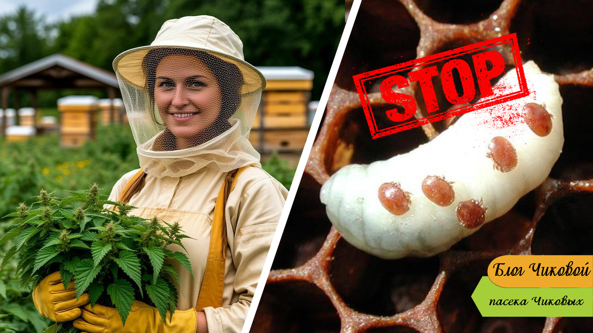 коллаж создан при помощи ИИ, любые сходства с реальными людьми - случайны.