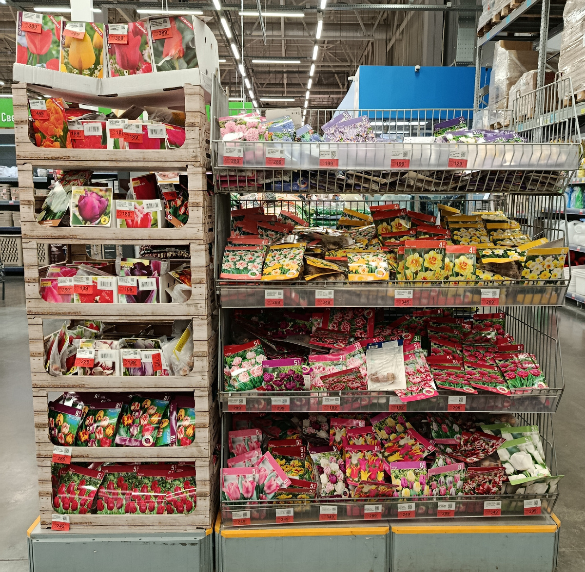 Ассортимент посадочного материала в Ленте