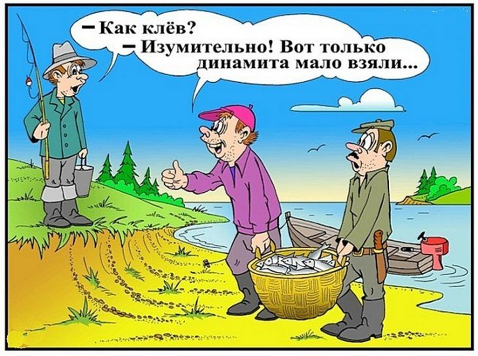 Рисунок из открытых источников