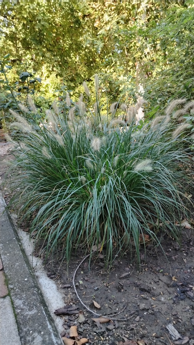 Так смотришь, вроде и ничего себе кочка.