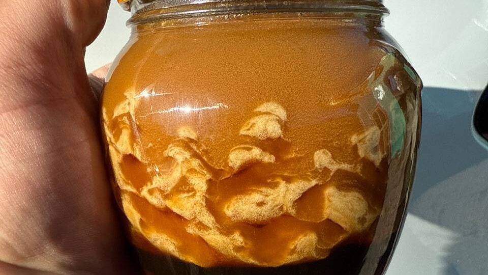 От чего зависит кристаллизация меда