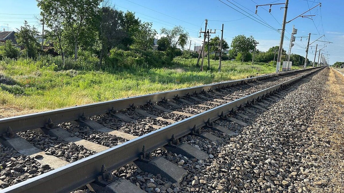     Фото: телеканал «Краснодар»