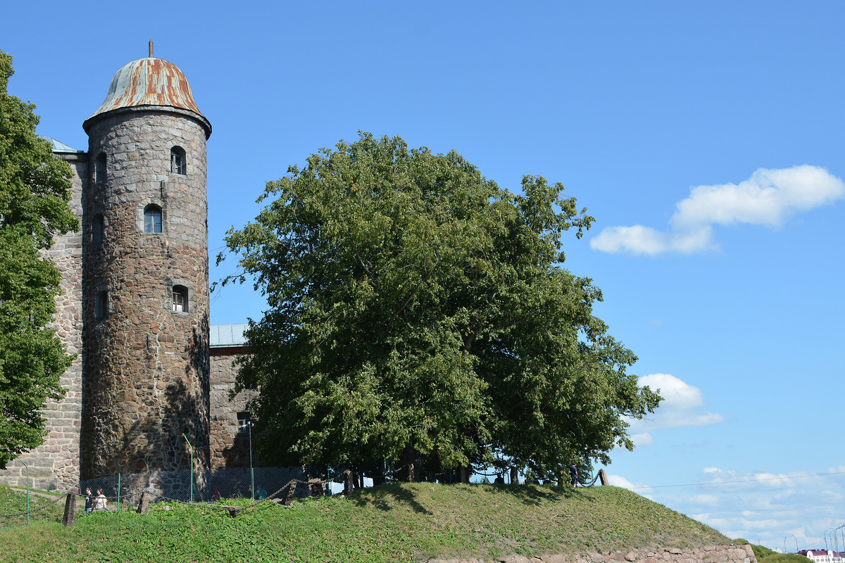 Башни замка имеют разную высоту. Кажется, что он растёт прямо из скалы