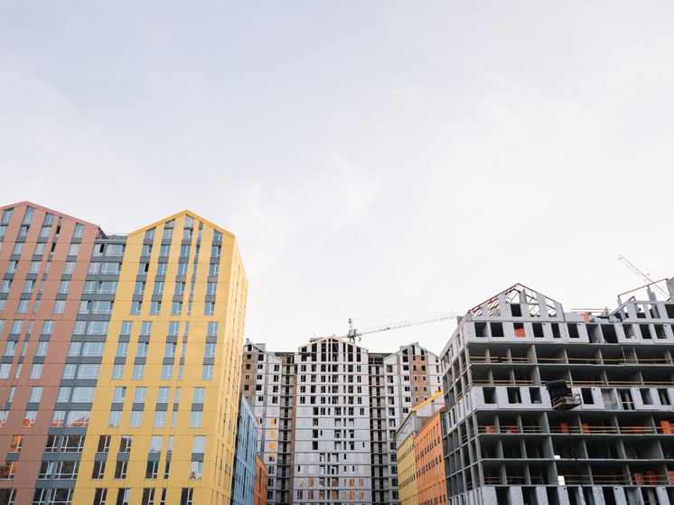     Фото: freepik/freepik.com