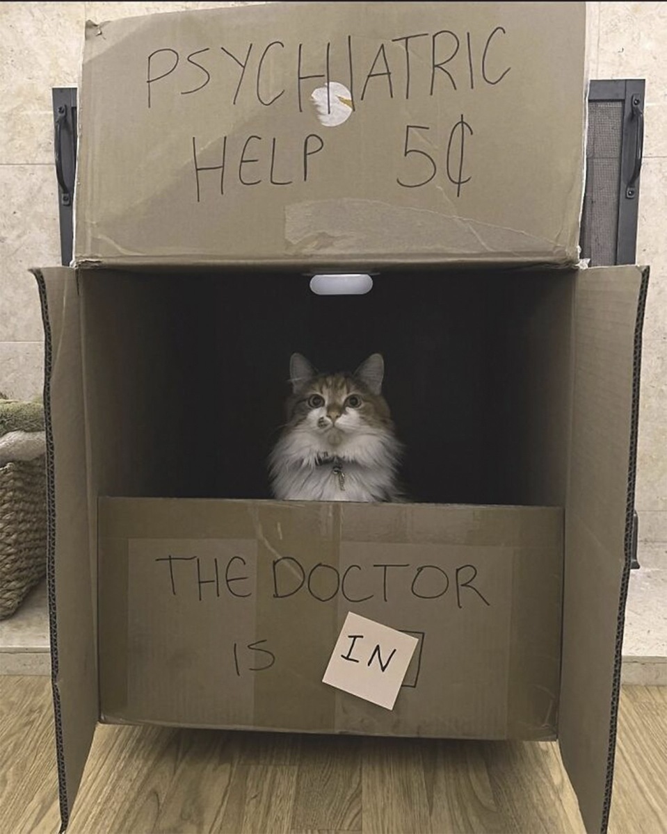    «Психиатрическая помощь. Доктор внутри».