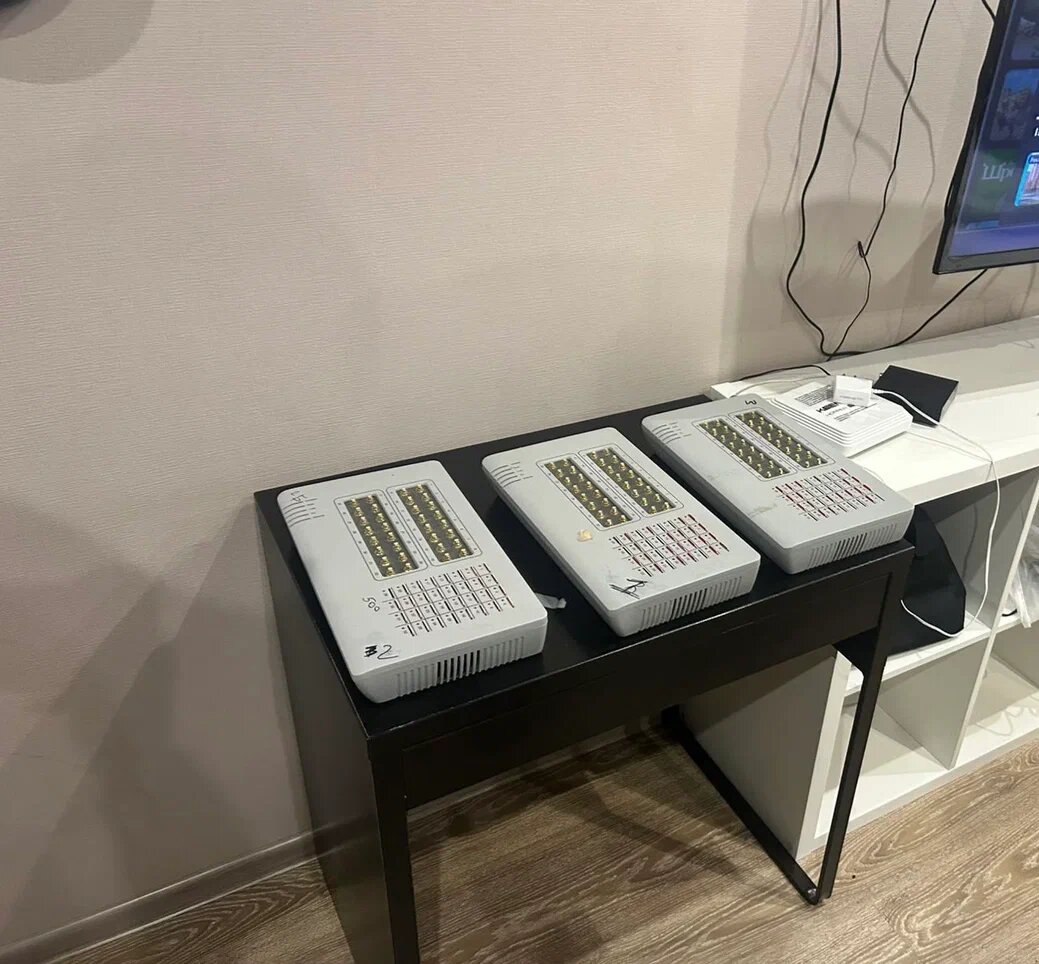    Фото: ГУ МВД по Петербургу и Ленобласти