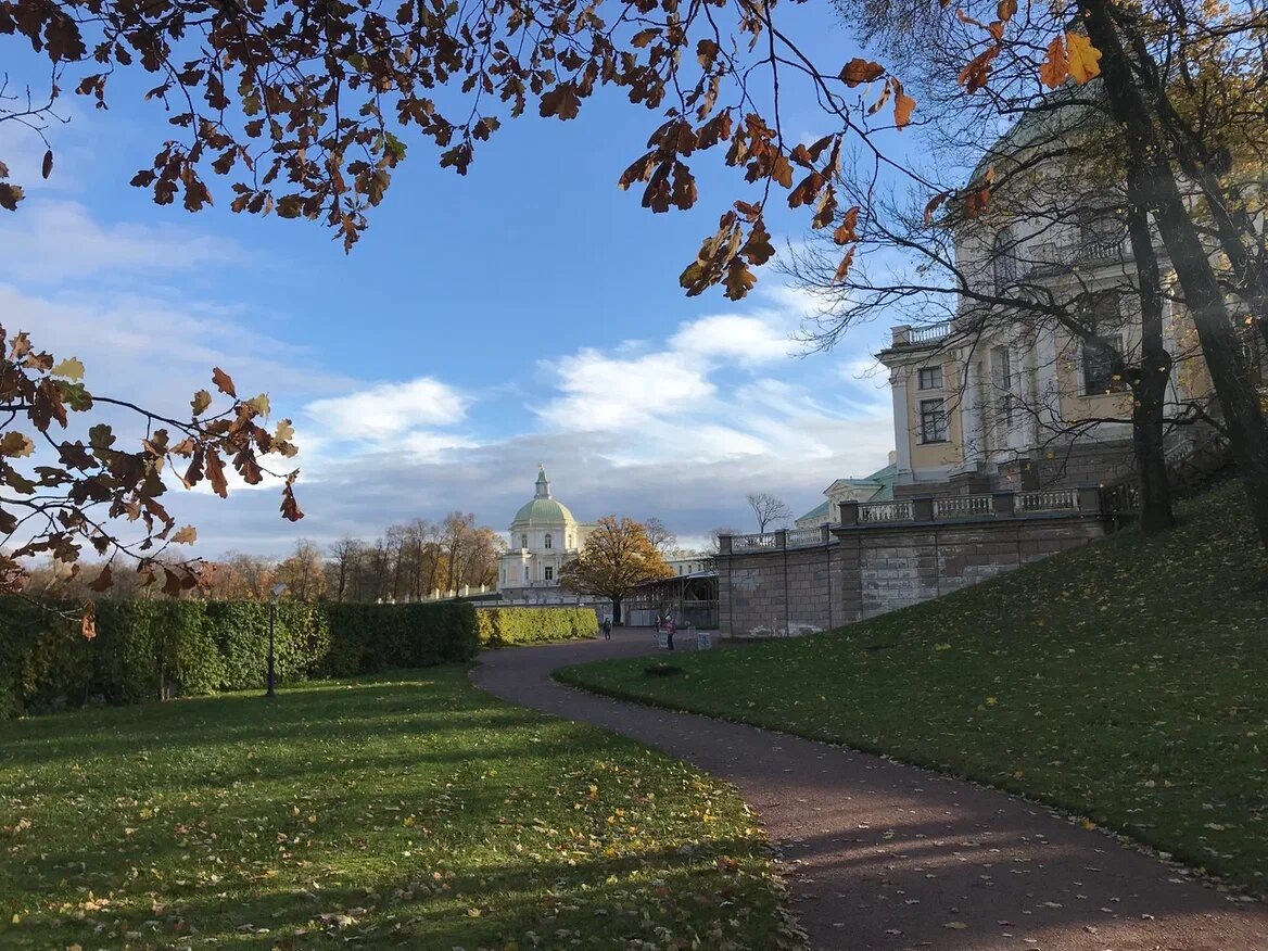 Выглянуло солнышко — и сразу заиграли осенние краски