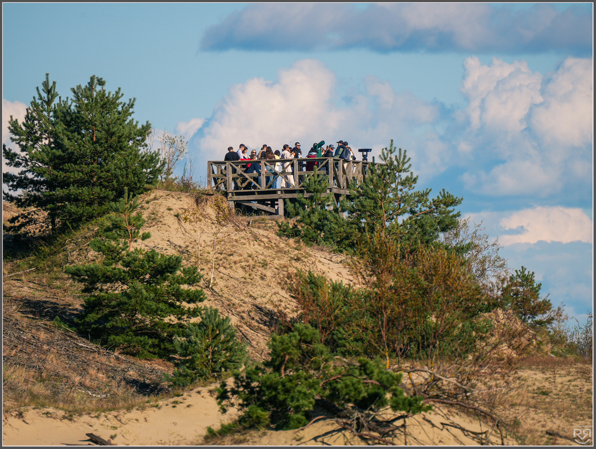 Смотровая площадка. Куршская коса. Высота Эфа. Фото: Михаил Рябинин