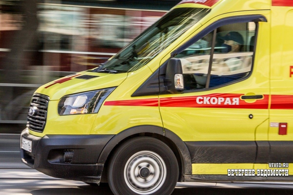     Фото: Андрей Гоголев / Вечерние ведомости