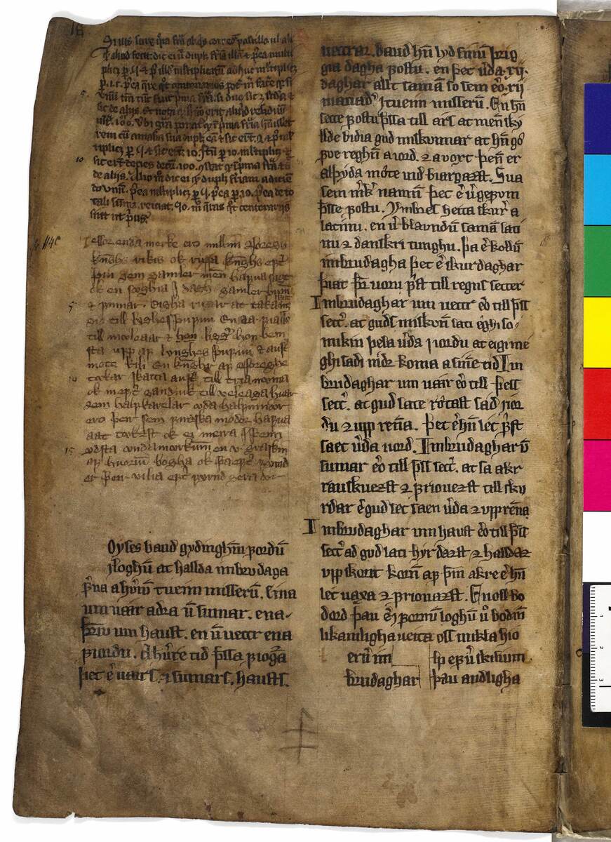 страница с текстом разграничительной грамоты в рукописи AM 114а, 4°