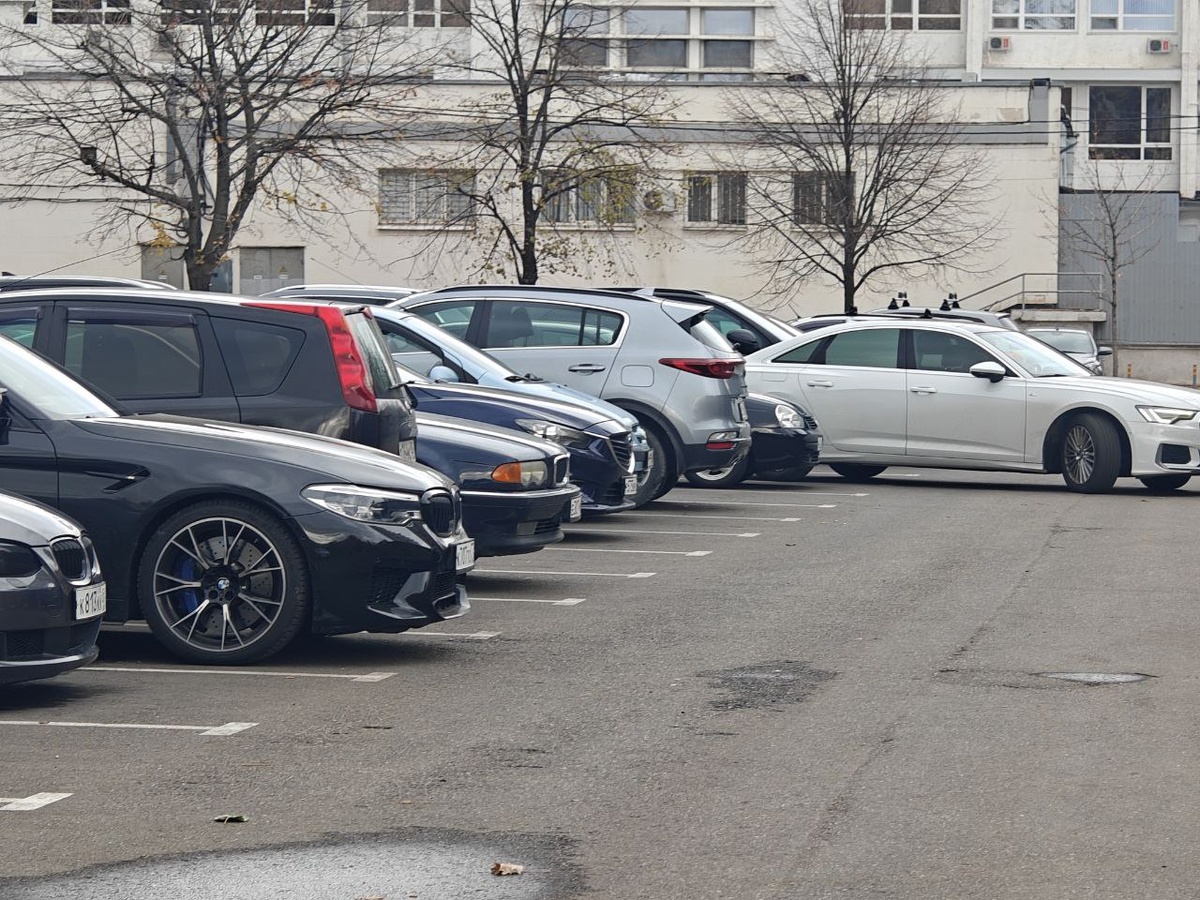    Фото: Юрий Серебренников/BFM Кубань