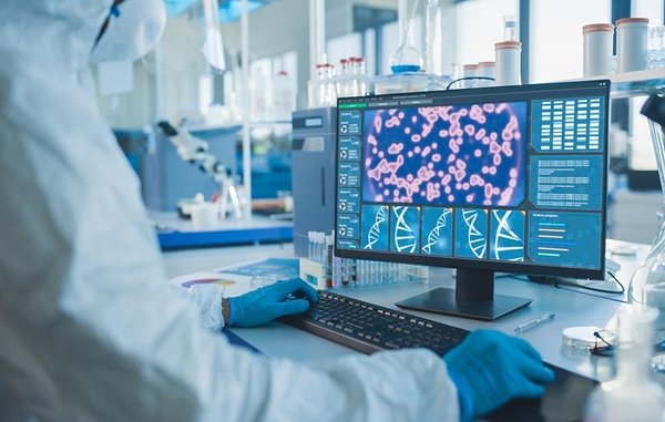 Gorodenkoff/ Shutterstock/ FOTODOM