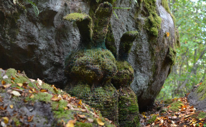    © пресс-служба правительства Ленобласти