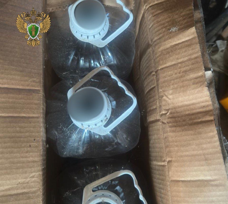 Фото: Прокуратура Ленинградской области