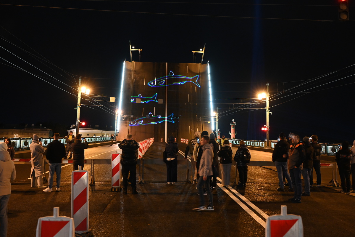 Фото: Дмитрий Сермяжко, «Петербургский дневник»