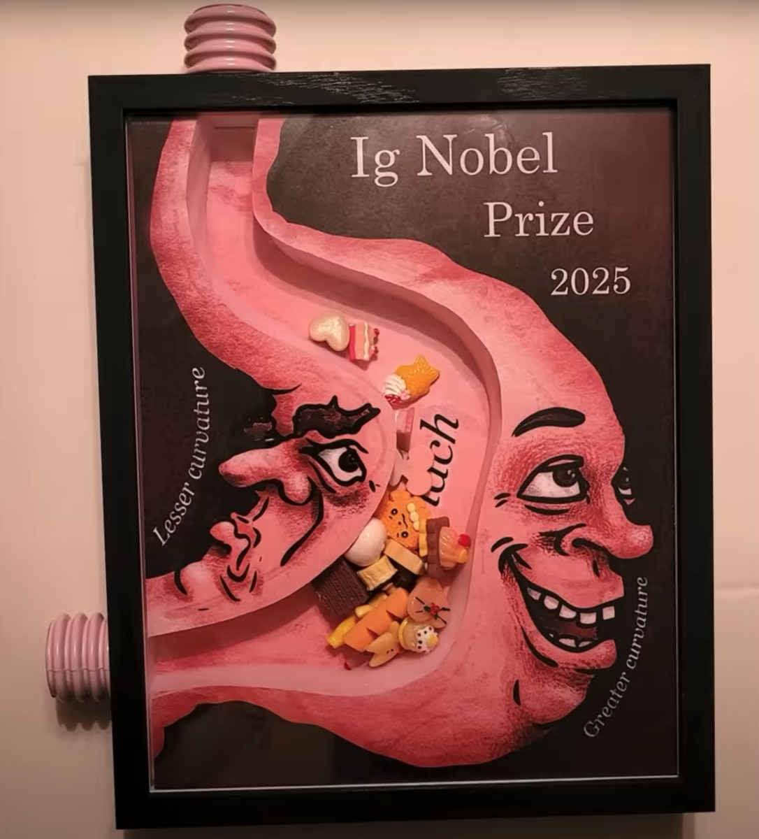 Награда Шнобелевки в 2025 году. Источник: https://youtu.be/z1cP4xKd_L4