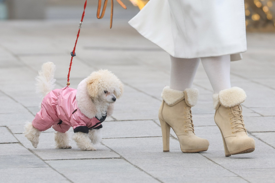    Наталья Шатохина/NEWS.ru