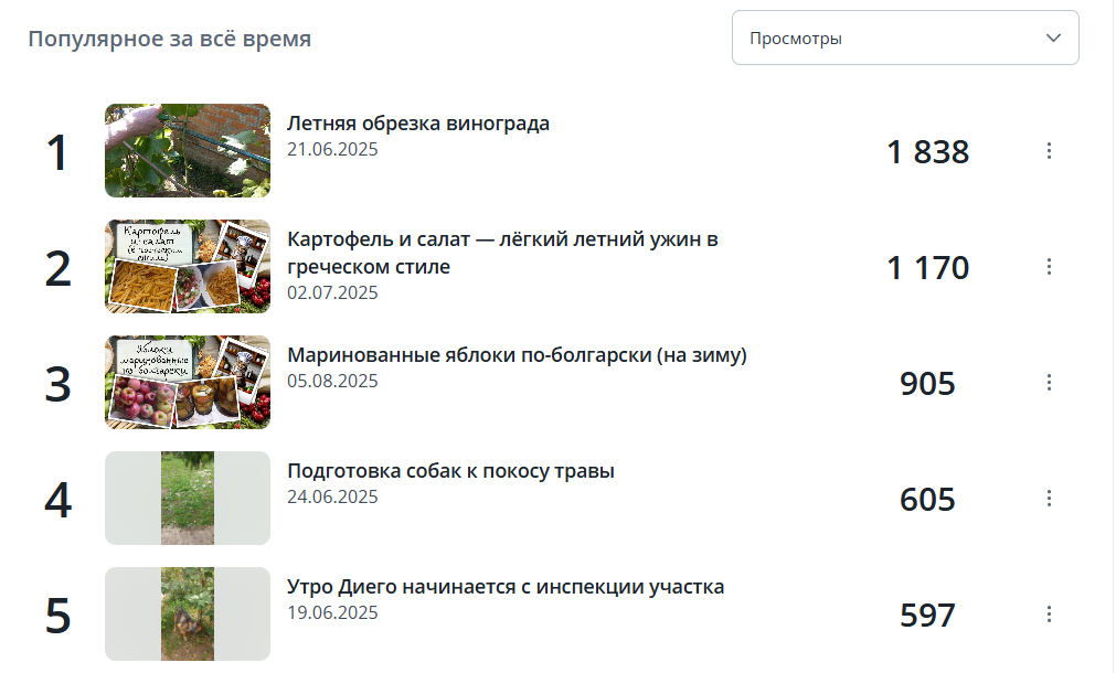 ТОП-5 самых популярных видео за всё время. Как видите среди них два вертикальных ролика 