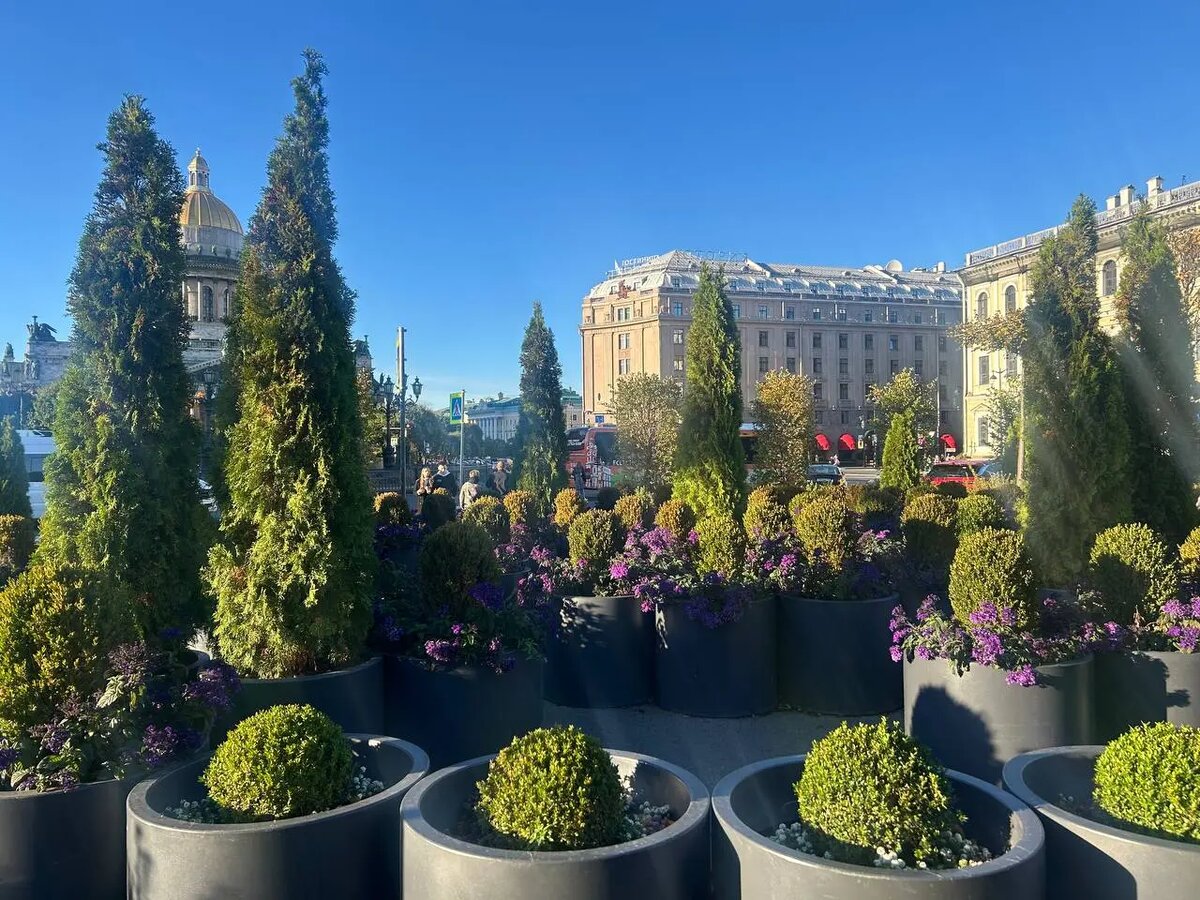    Фото: abn.agency