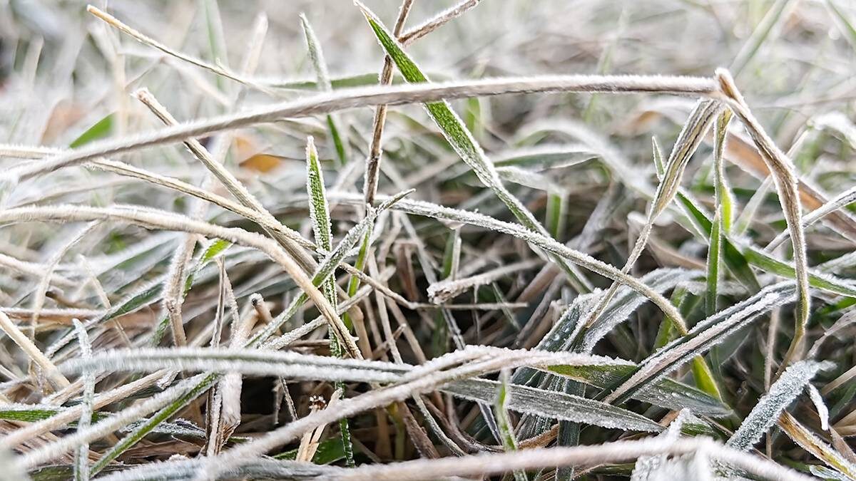    Фото: Василий Кузьмиченок / АГН Москва