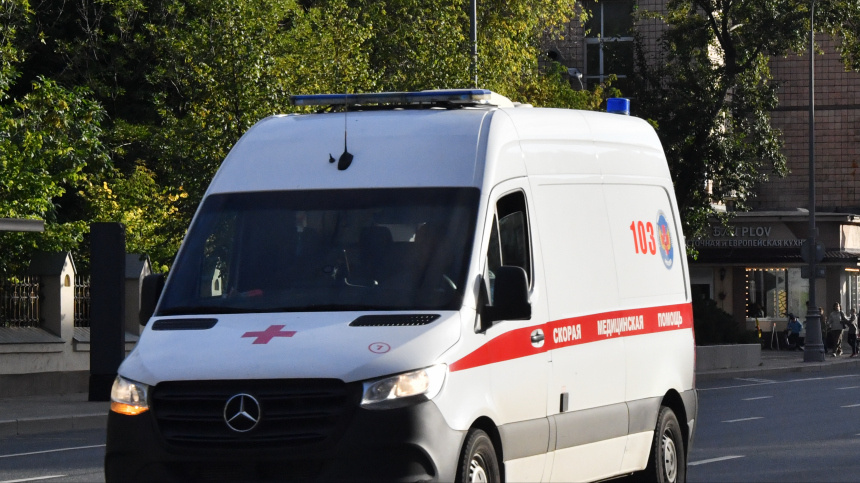    Фото: © РИА Новости/ Наталья Селиверстова; Telegram/Следком Ленинградской области/sledcom47; 5-tv.ru