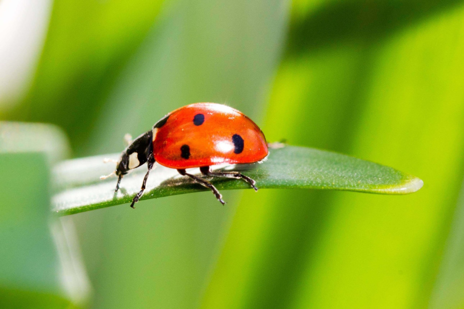    imago stock&people/Global Look Press