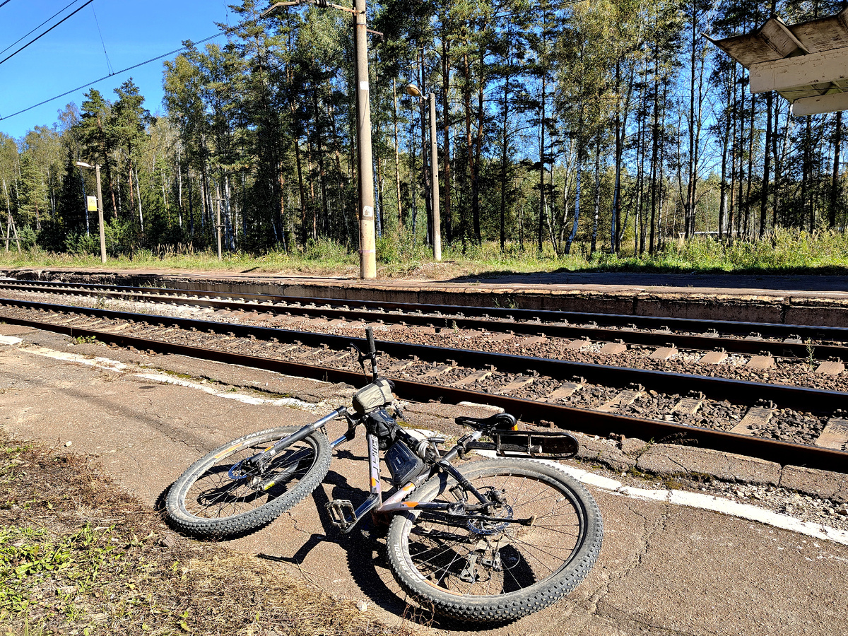 Платформа Янтарная