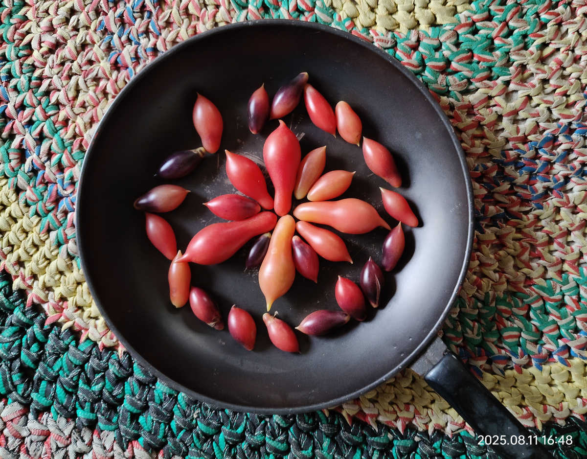 Дату съёмки можно увидеть на всех фото.