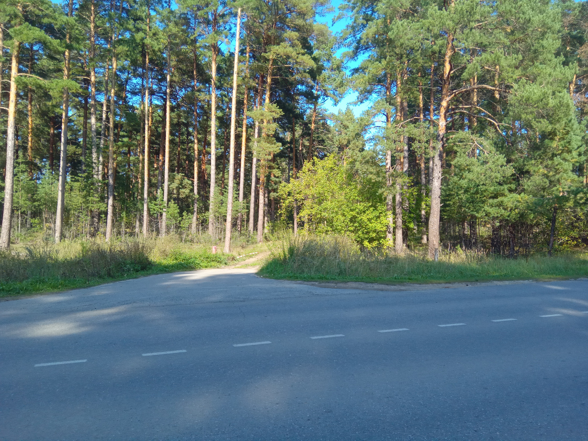 Пестречинский лес. Осенняя пора, очей очарованья...