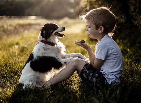 ФОТО ЯНДЕКСА