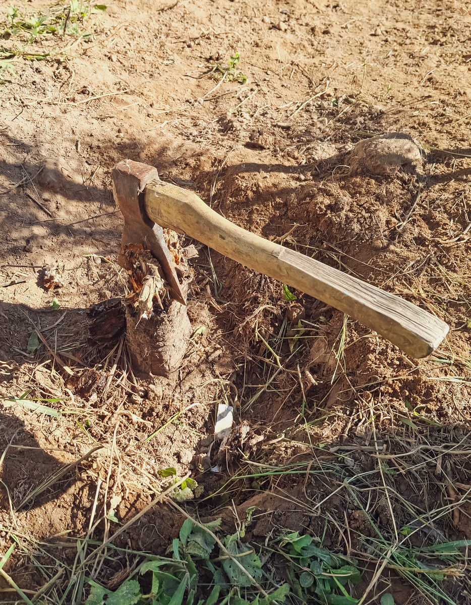 Небольшой и такой вредный