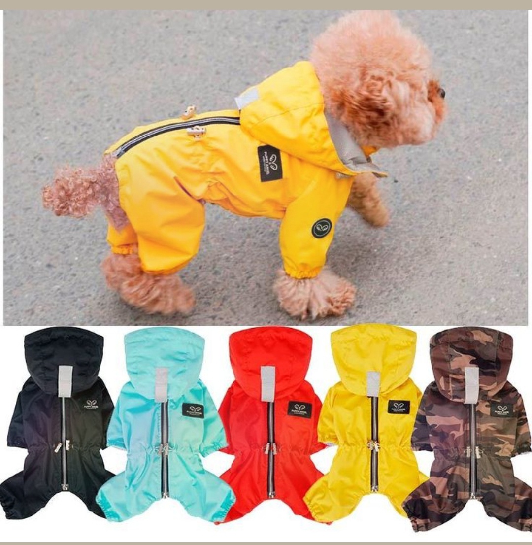 Пошив комбинезонов для животных