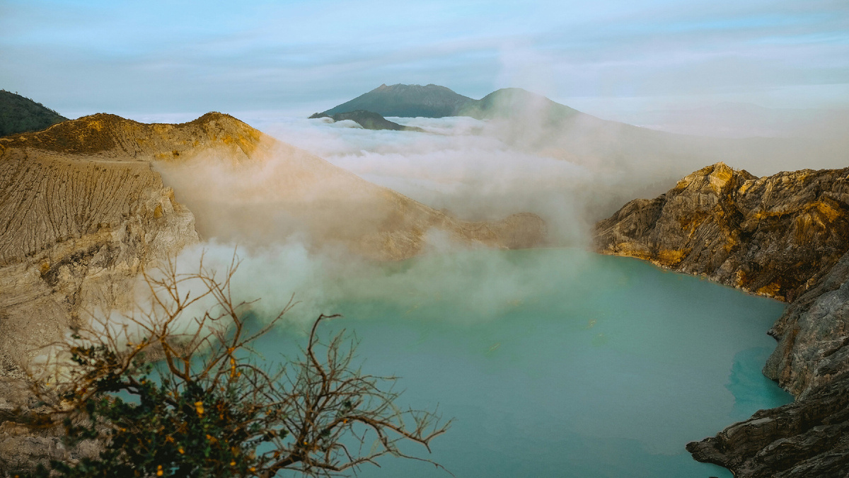 Фото: Andiko Baskoro / Unplash