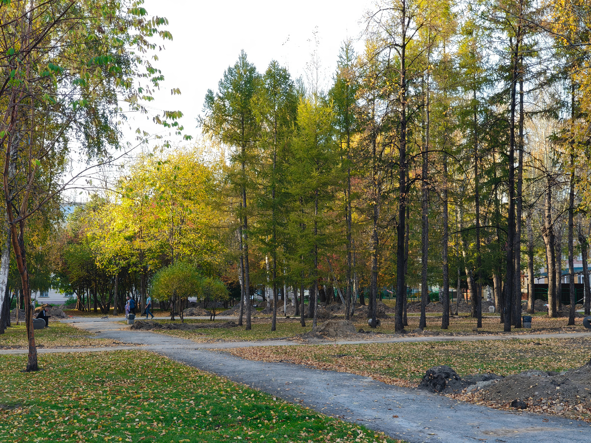 Фото автора