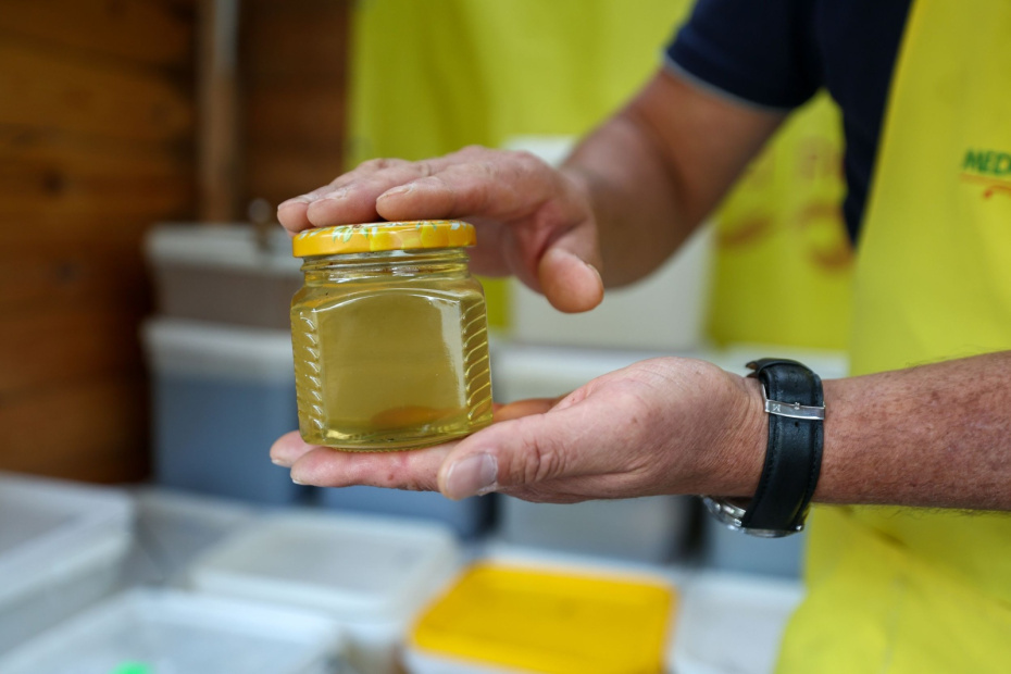    Наталья Шатохина/NEWS.ru