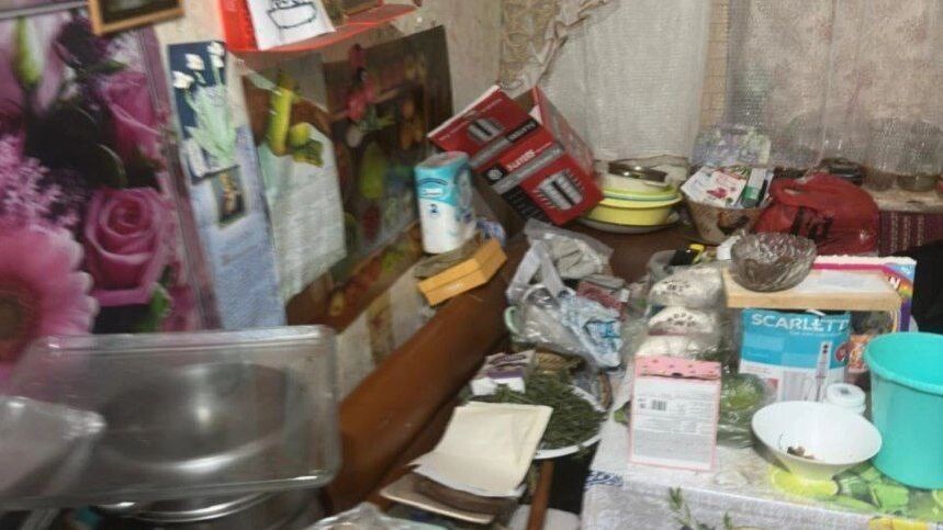    Фото: t.me/prok_lenobl