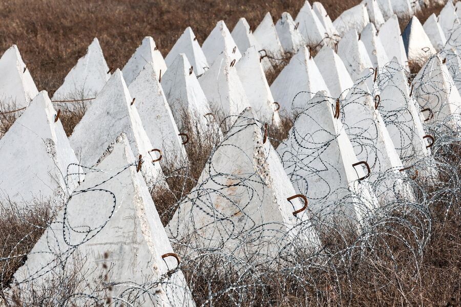     / Источник: © Дмитрий Ягодкин/ТАСС