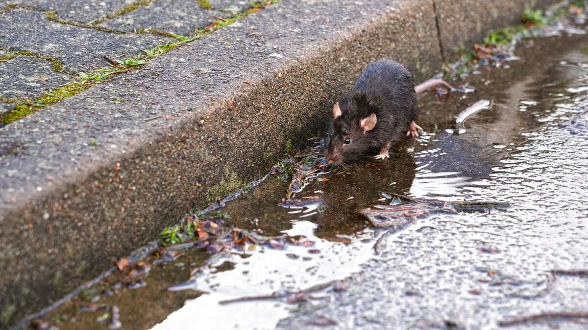    Фото: Holger Kirk/Shutterstock/Fotodom