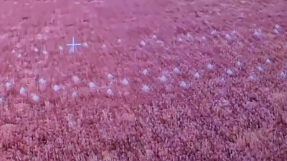    Фото: скриншот / РИА Новости / Telegram