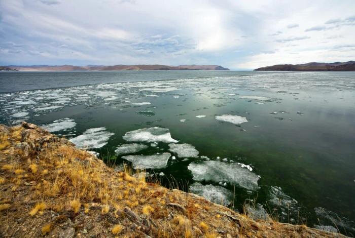 Обложка © Shutterstock / FOTODOM /