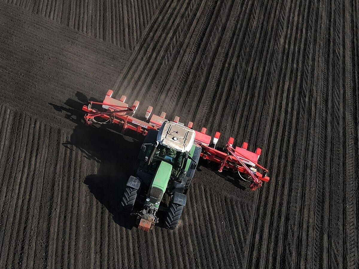    Посев кукурузы на полях в Ростовской области© РИА Новости / Сергей Пивоваров