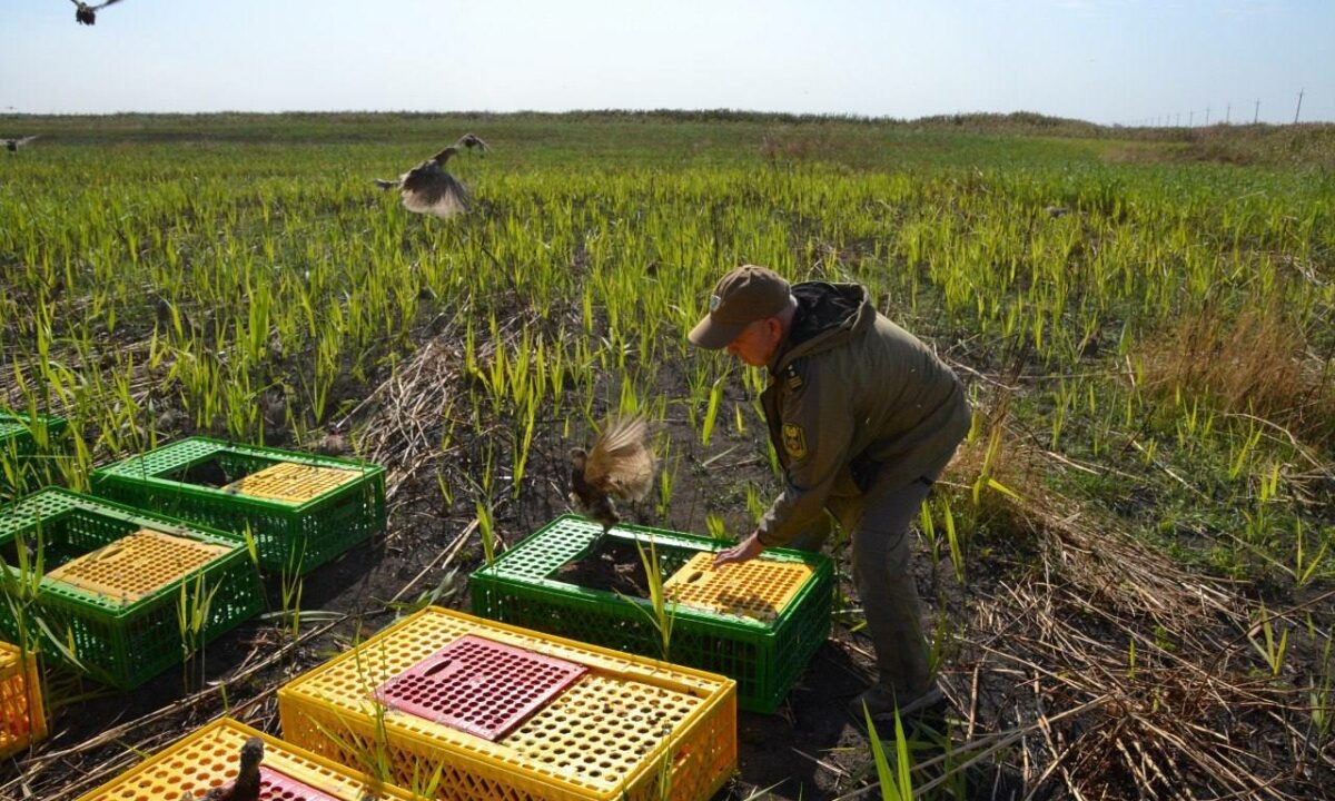    Фото t.me/mpr_kk