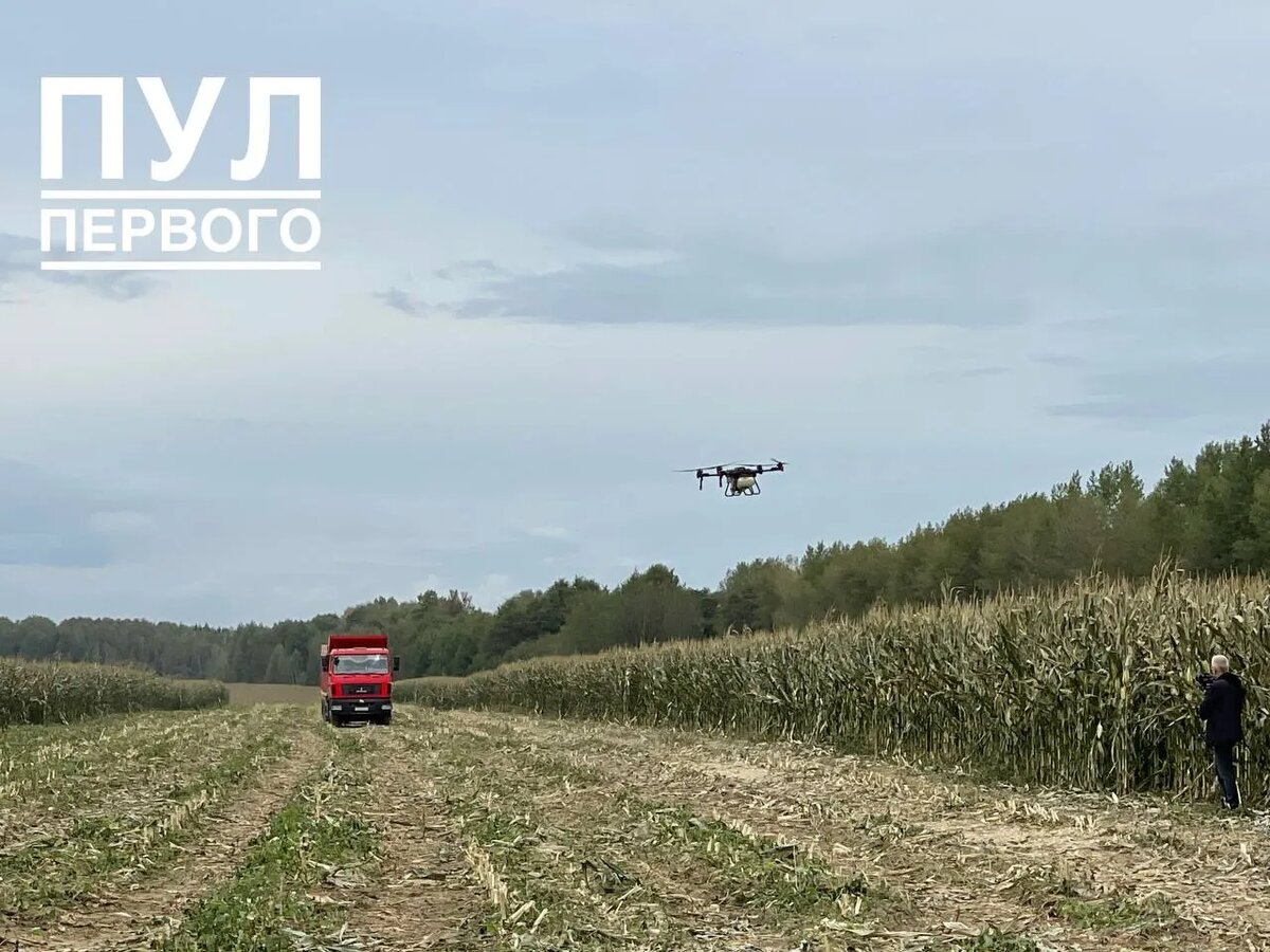    Фото: телеграм-канал «Пул Первого»