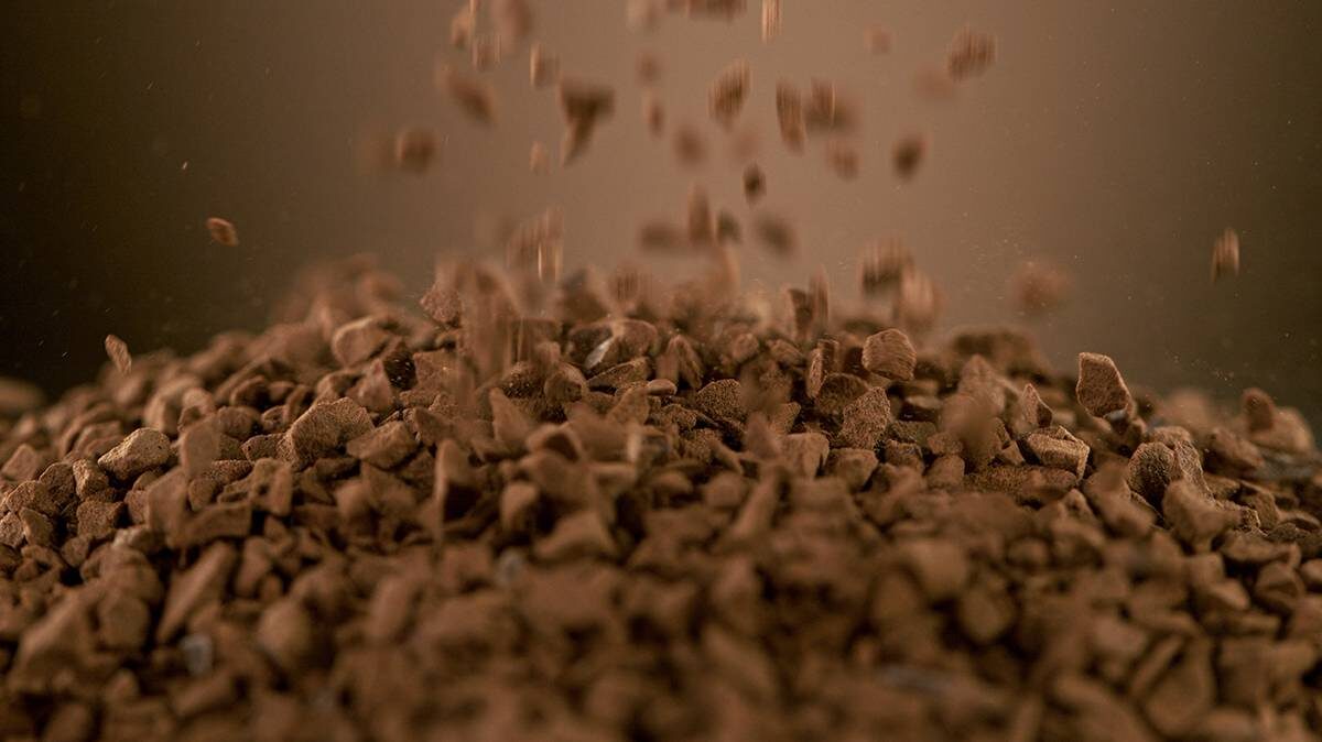    Фото: Shutterstock