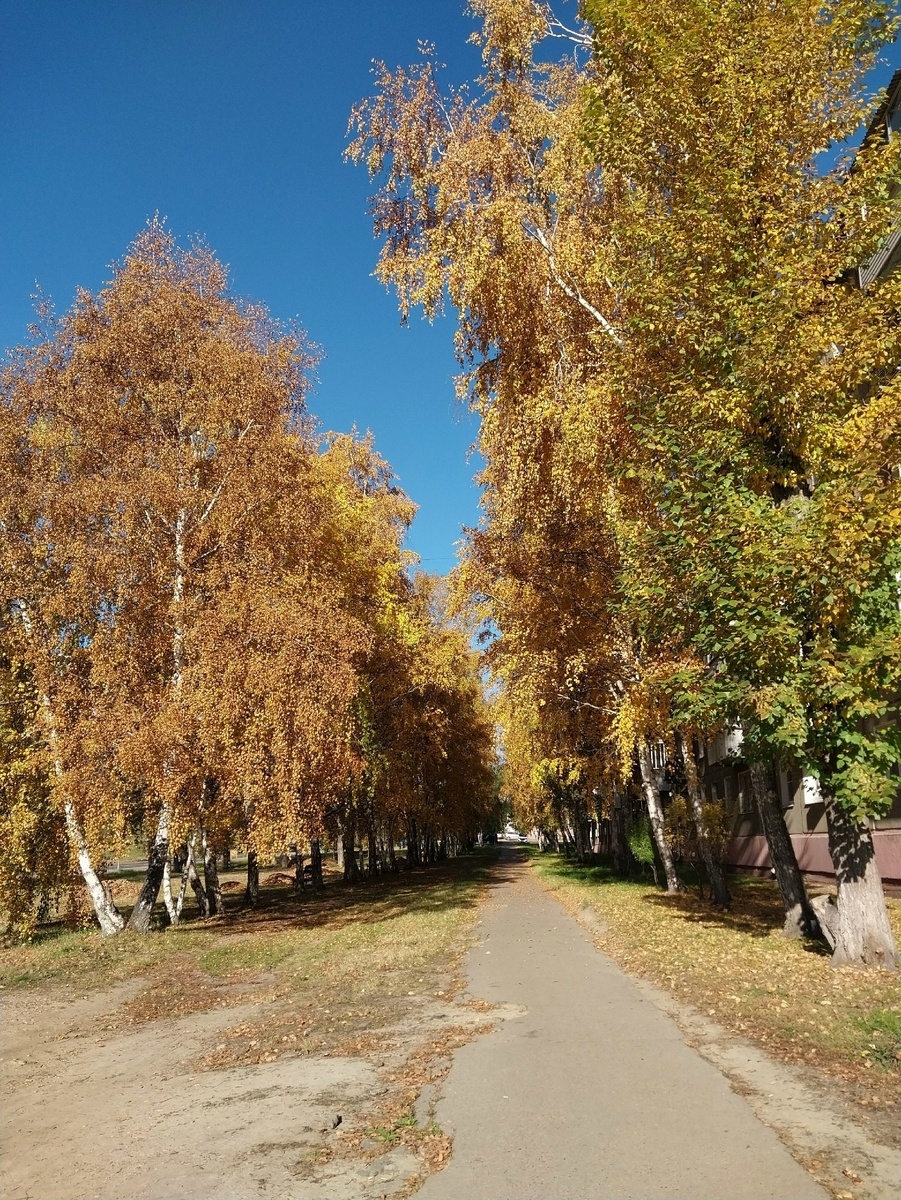 роскошно, правда?!