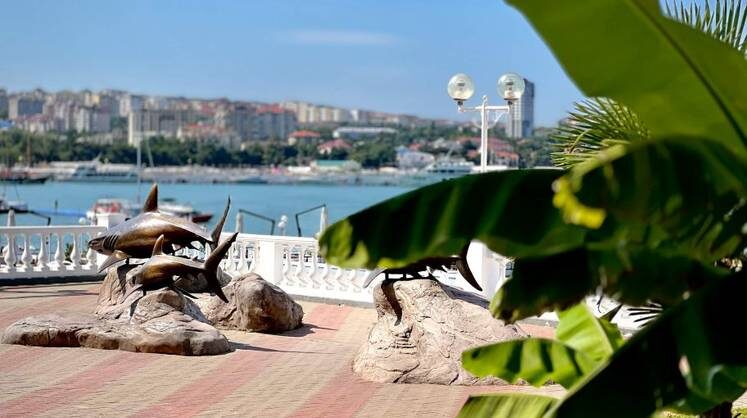    admkrai.krasnodar.ru