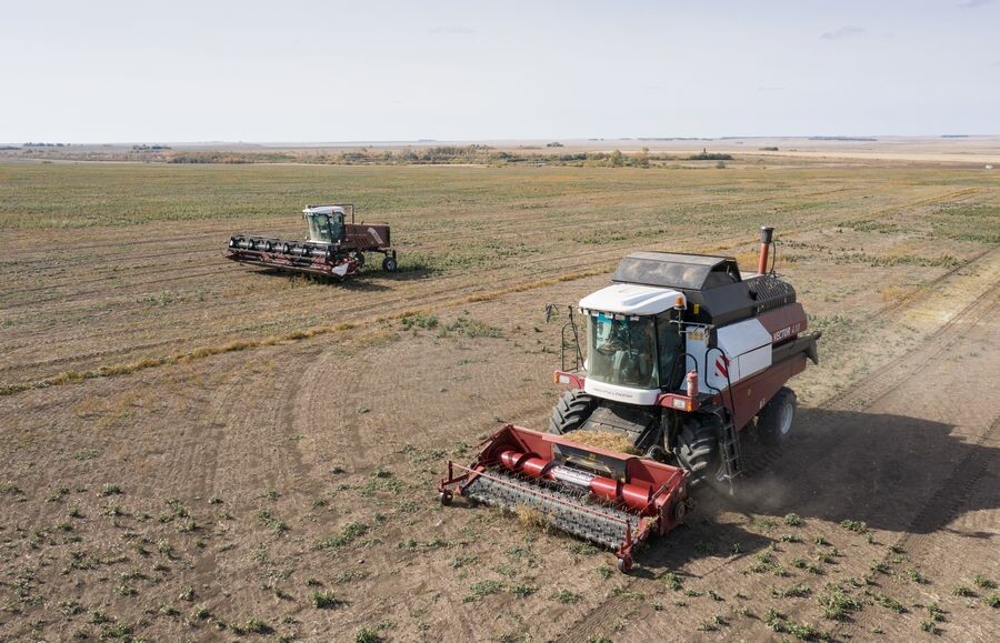     / Источник: © Александр Манзюк/ТАСС