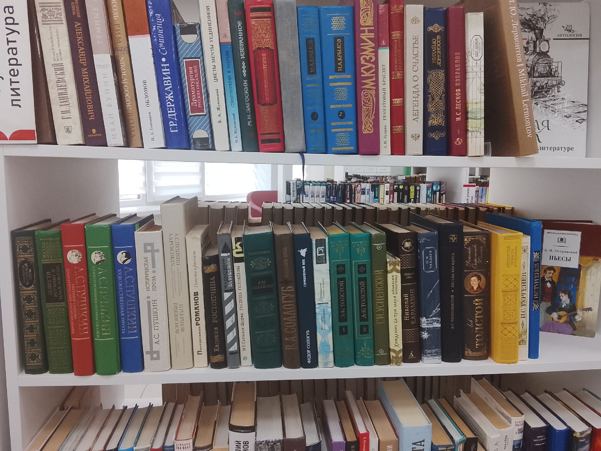 Та самая полка. 