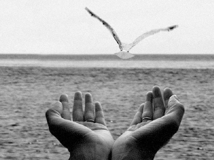 (Картинка из интернета) 